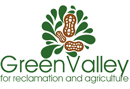 Green Valley Logo